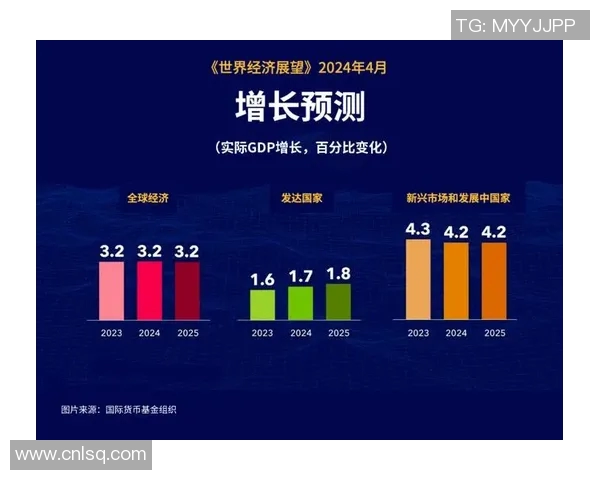 全球经济转型与可持续发展：新兴市场与发达国家的合作与挑战